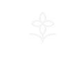 無(wú)添加