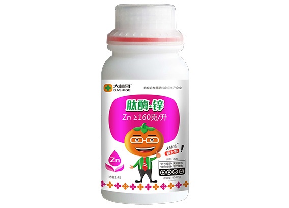 肽酶鋅