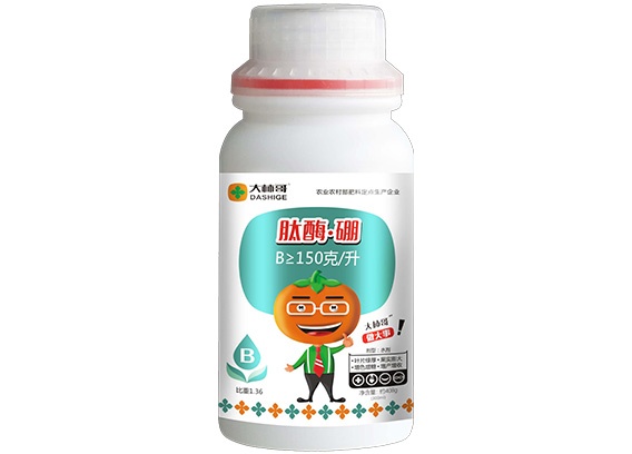 肽酶硼
