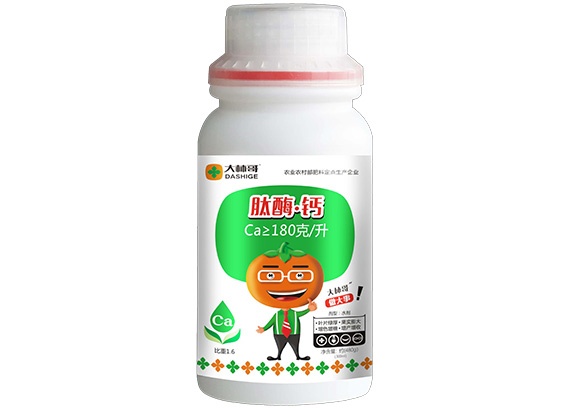 肽酶鈣